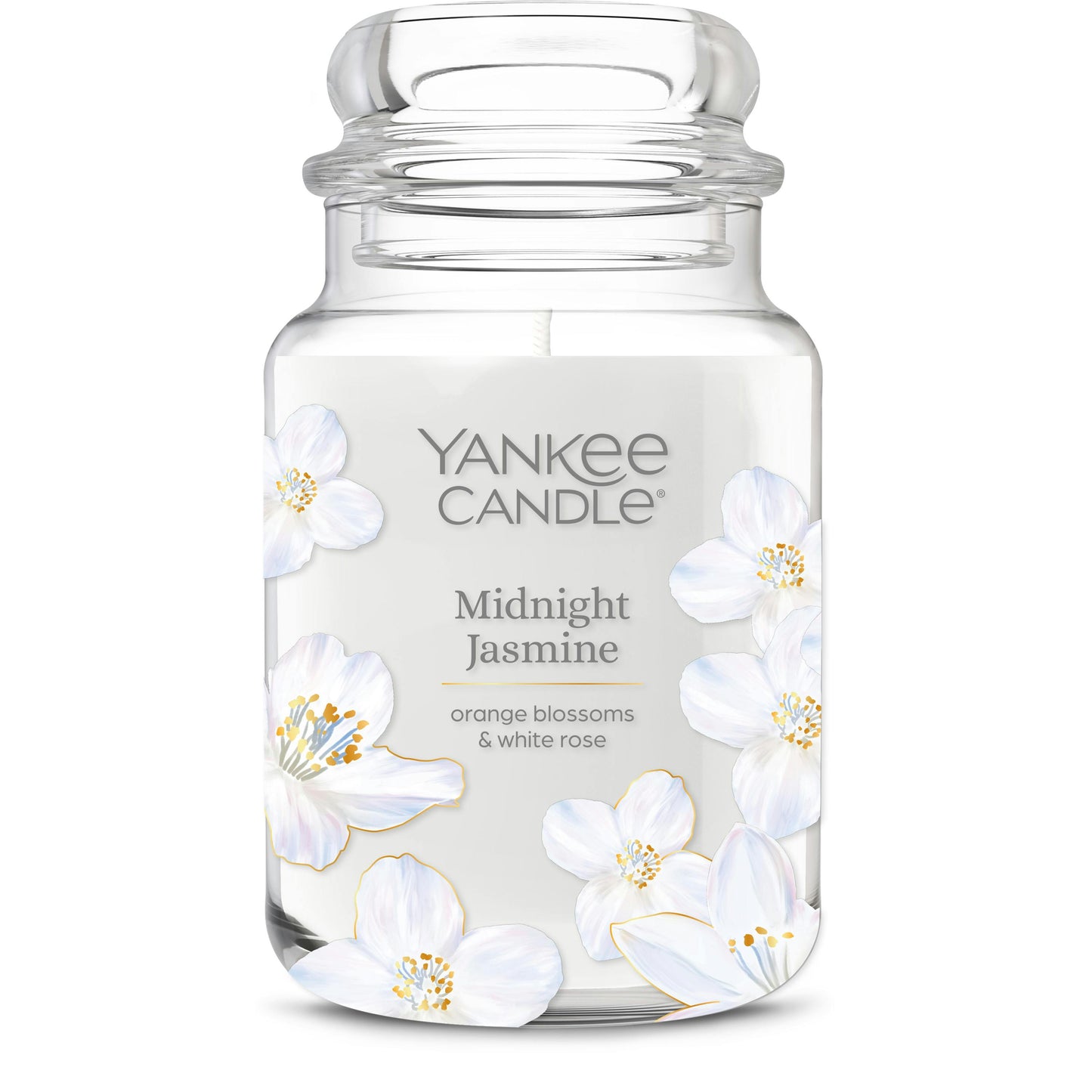 Midnight Jasmine | Clean Series