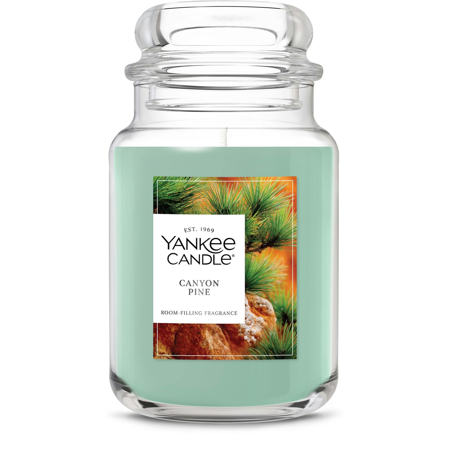 Canyon Pine | Bright Choice