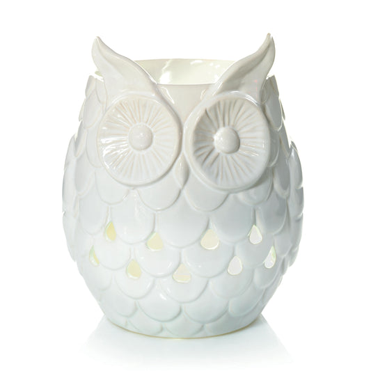 Owl | Daily Edit