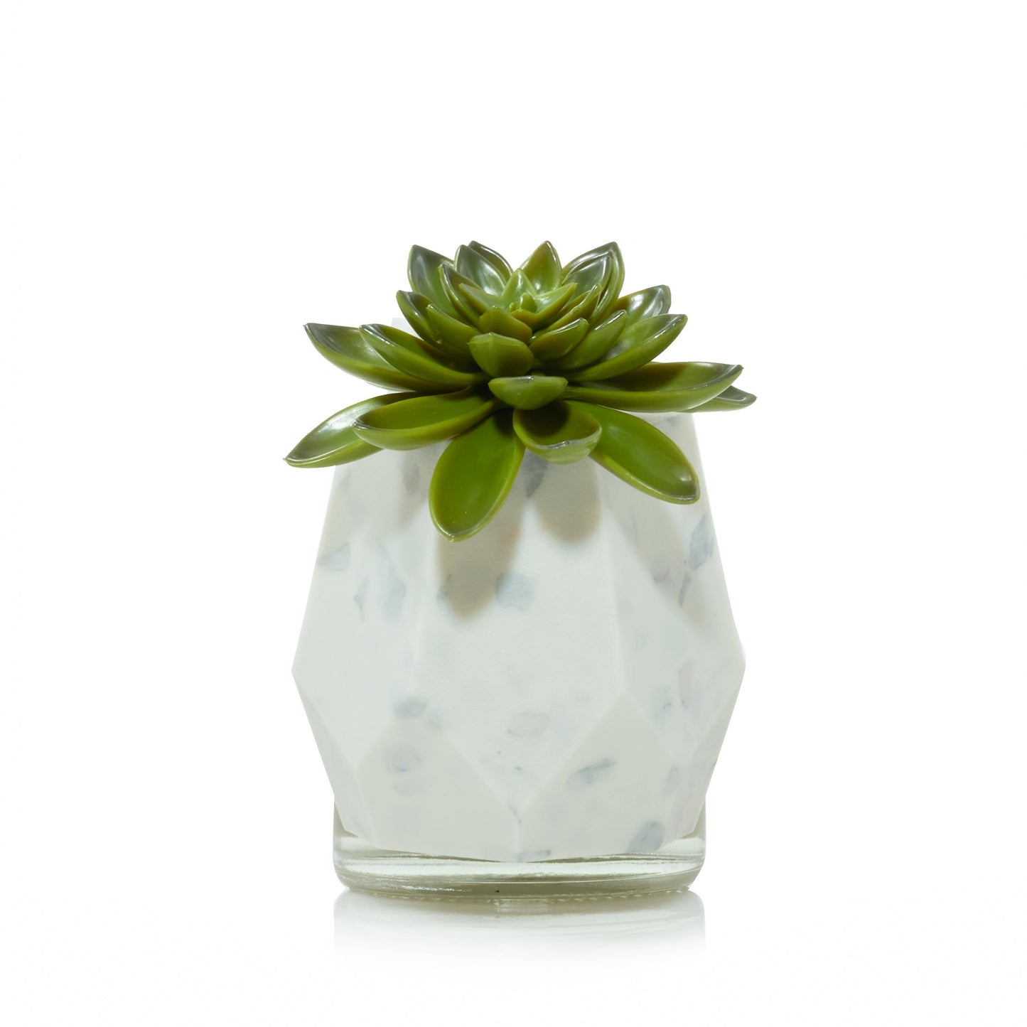 Faceted Succulent ScentPlug® Diffuser with Light | Simple Edit