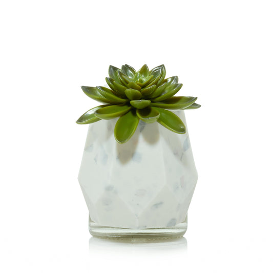 Faceted Succulent ScentPlug® Diffuser with Light | Simple Edit